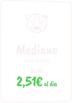 Plan Mediano