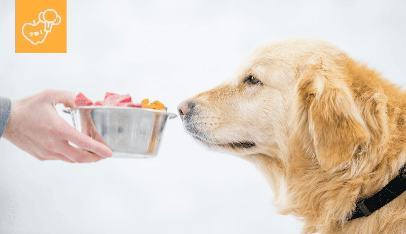 La inulina en la comida para perros