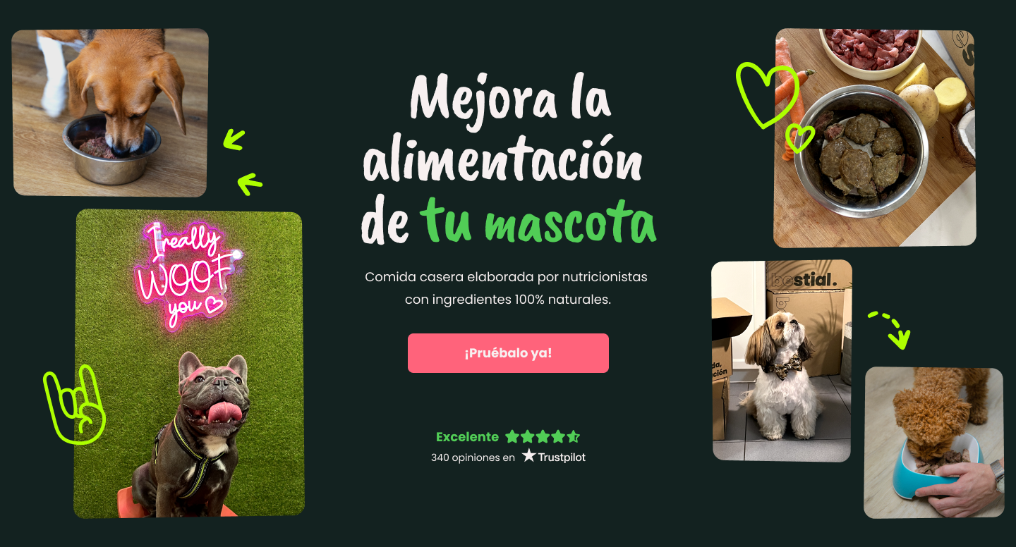 Mejora la alimentación de tu mascota