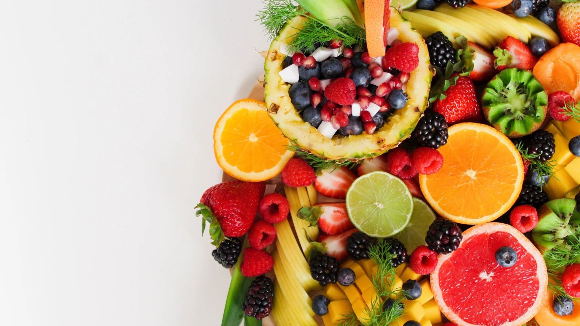 ¿Qué frutas pueden comer los perros y cuáles son tóxicas?