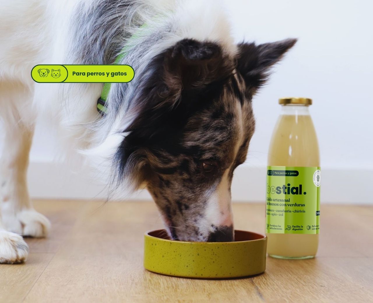 Caldo artesanal de huesos y verduras
