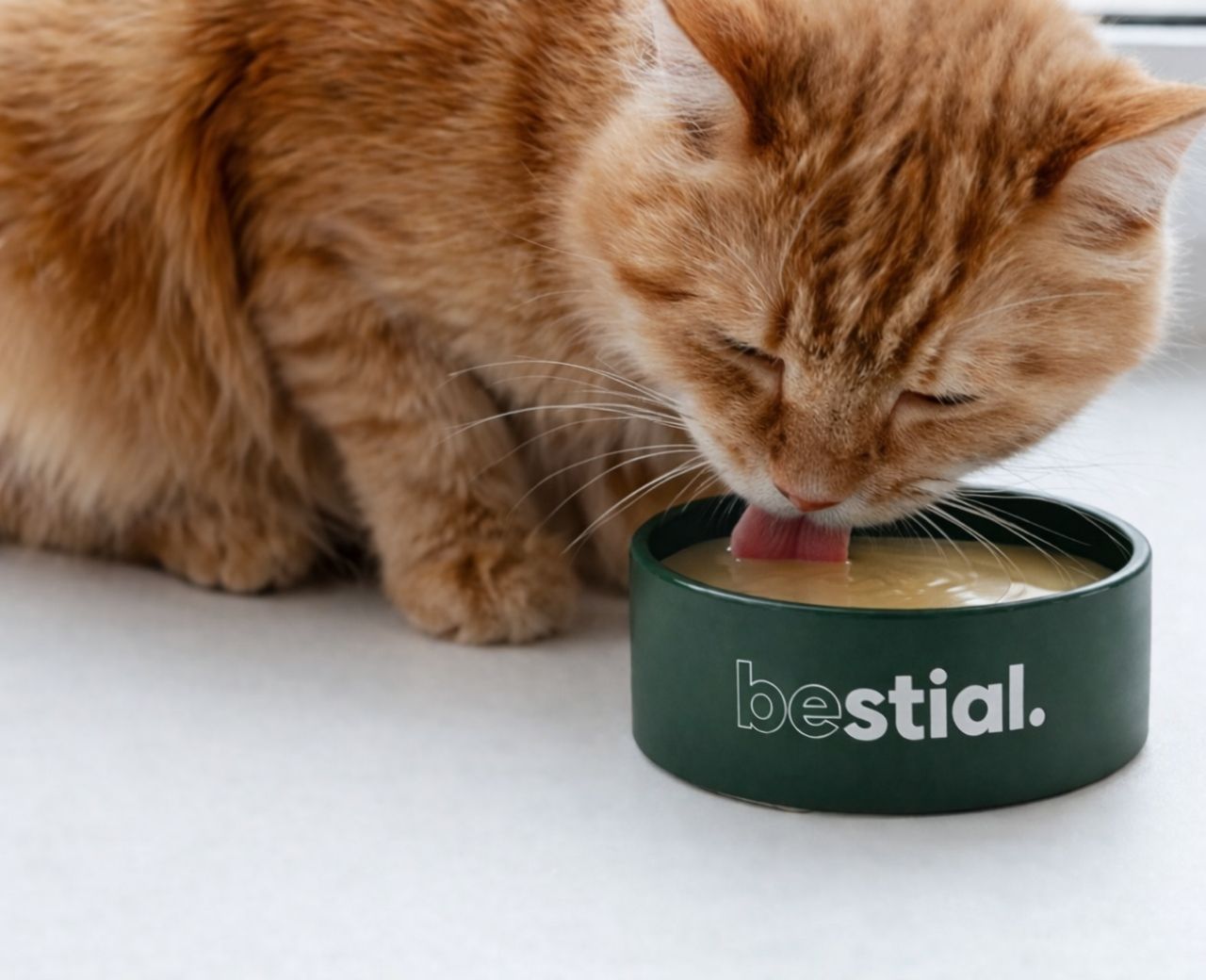 Caldo artesanal de huesos y verduras