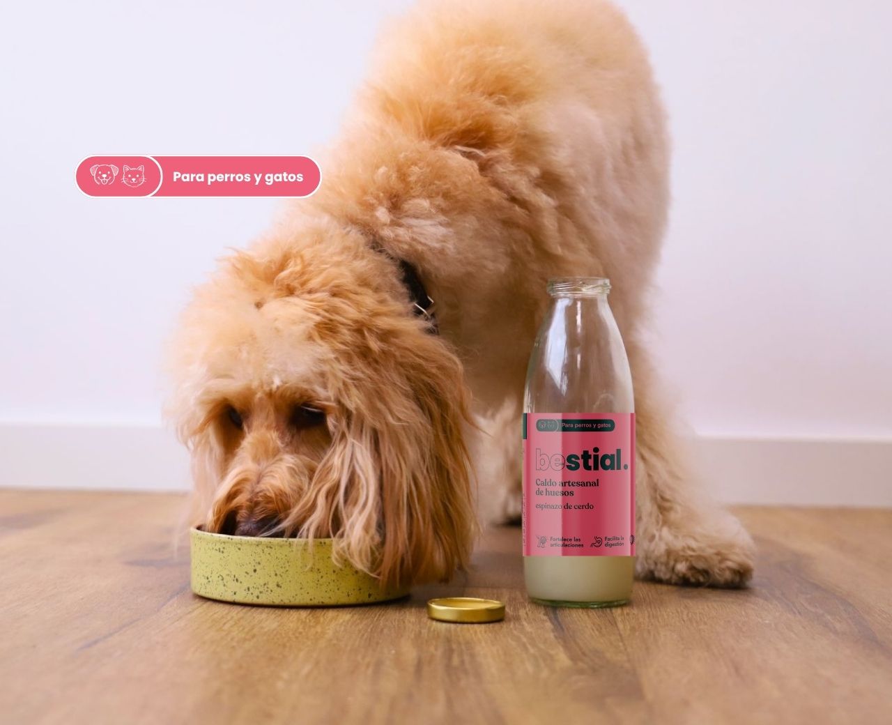 Caldo artesanal de huesos