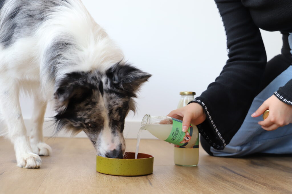 Caldog, caldo de hueso para perro