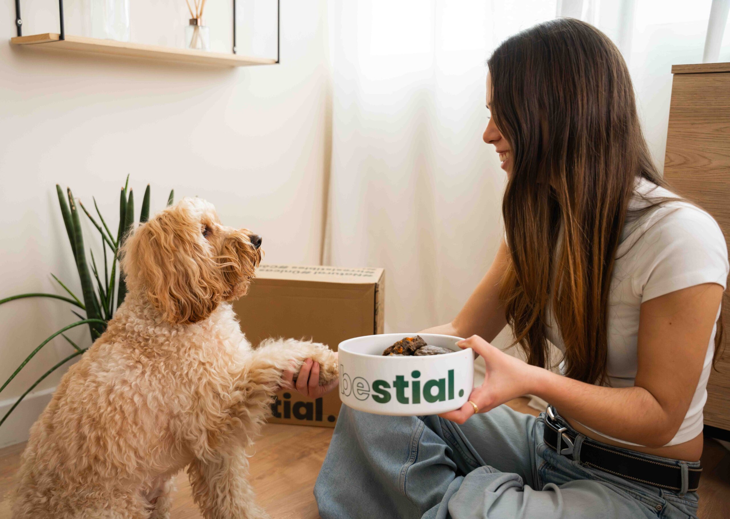 ¿Qué es la comida natural cocinada para perros?