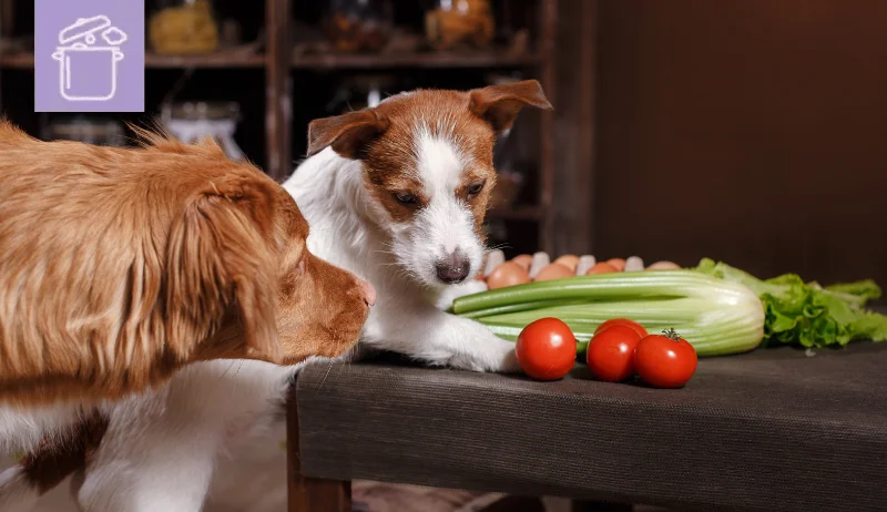 Qué verduras pueden comer los perros y cómo prepararlas
