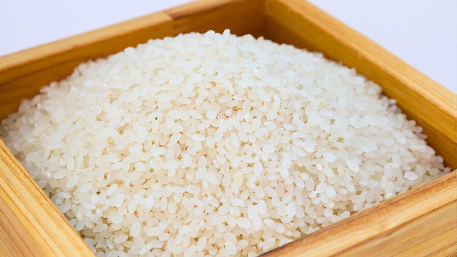 Arroz para perros: cuándo es bueno y cuándo no
