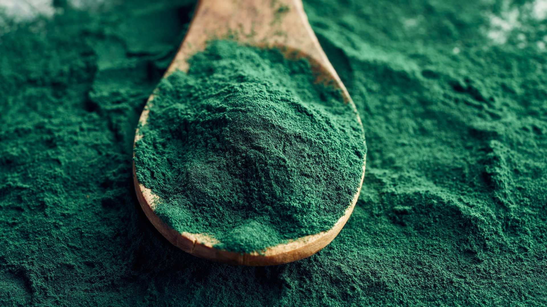 Propiedades y beneficios de la espirulina para perros
