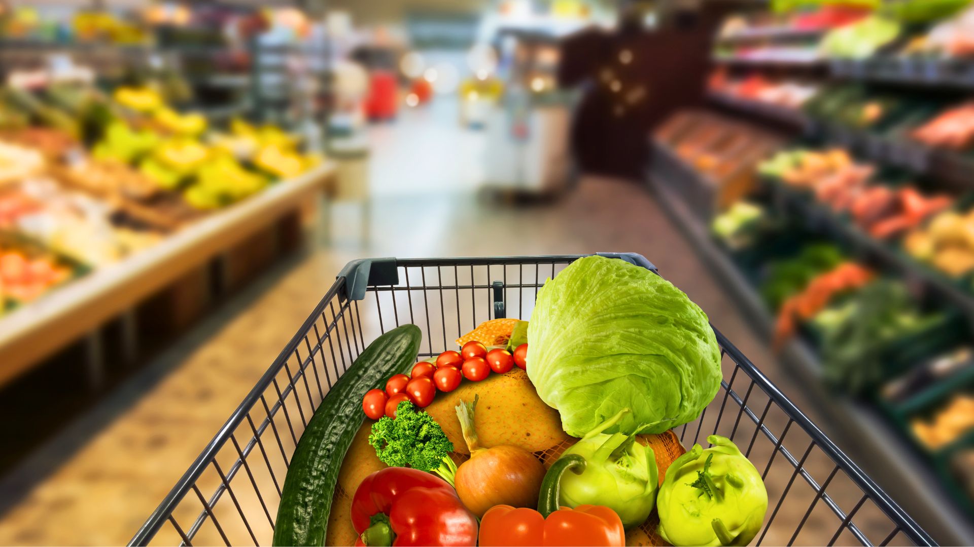 ¿Pueden entrar perros en Mercadona?