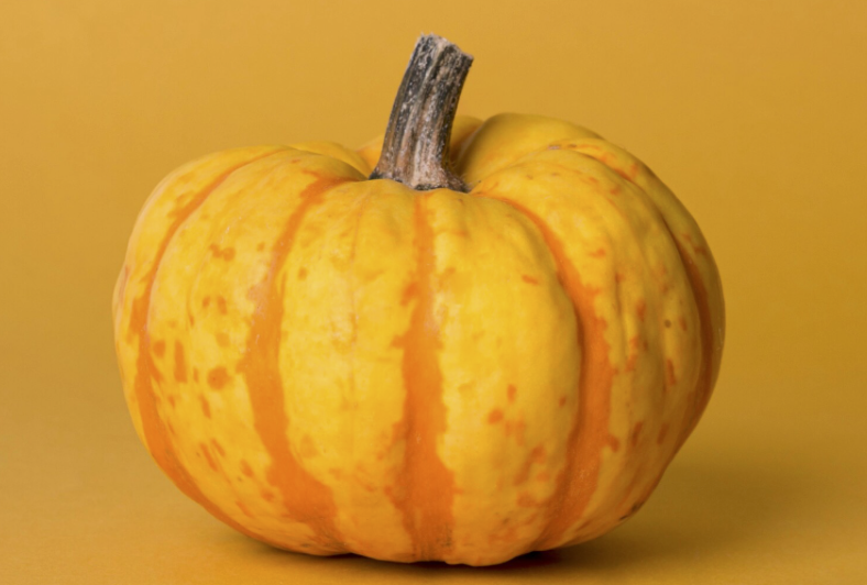 ¿Pueden los perros comer calabaza?
