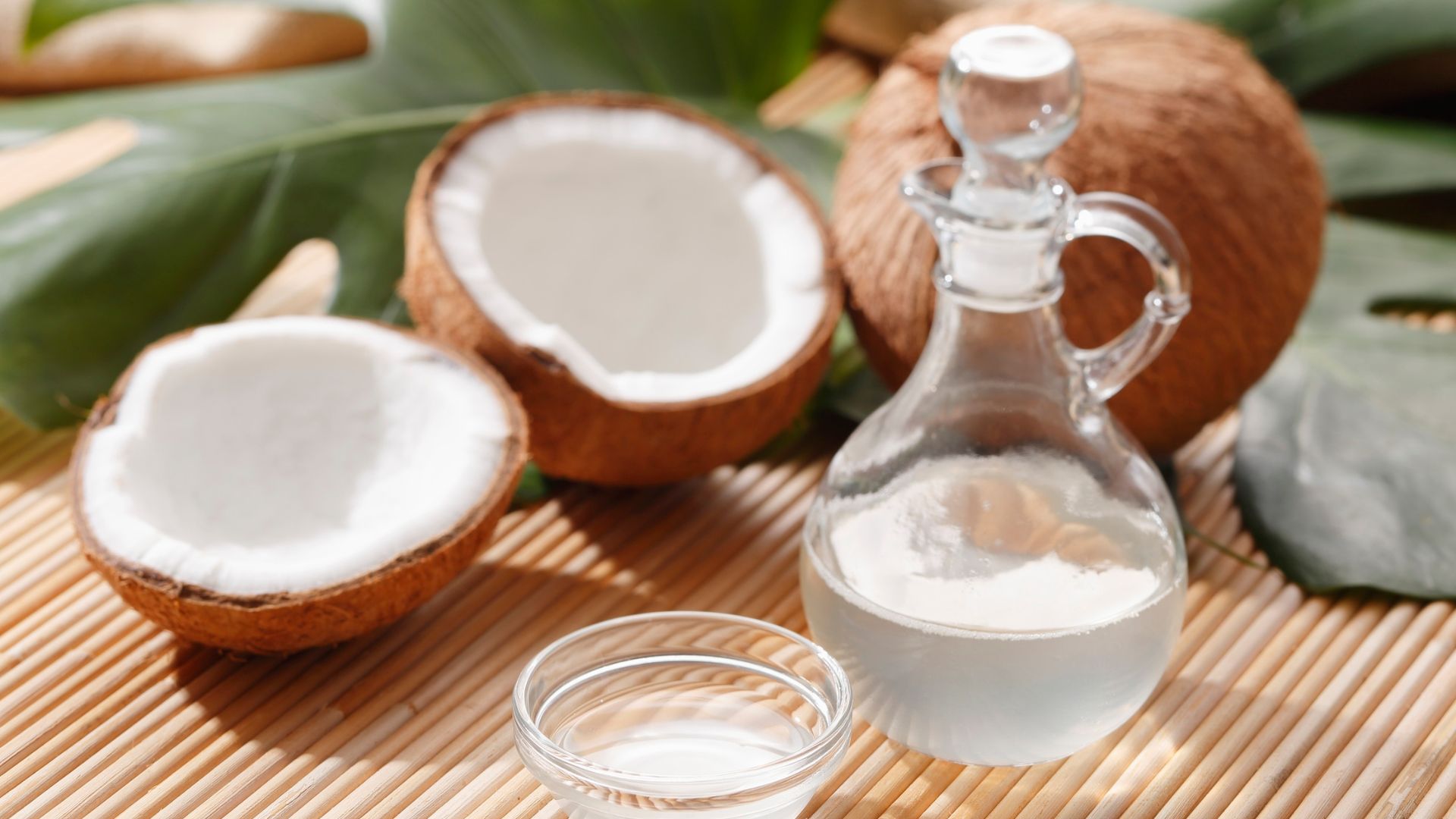 Aceite de coco para perros: beneficios, usos y precauciones en 2025