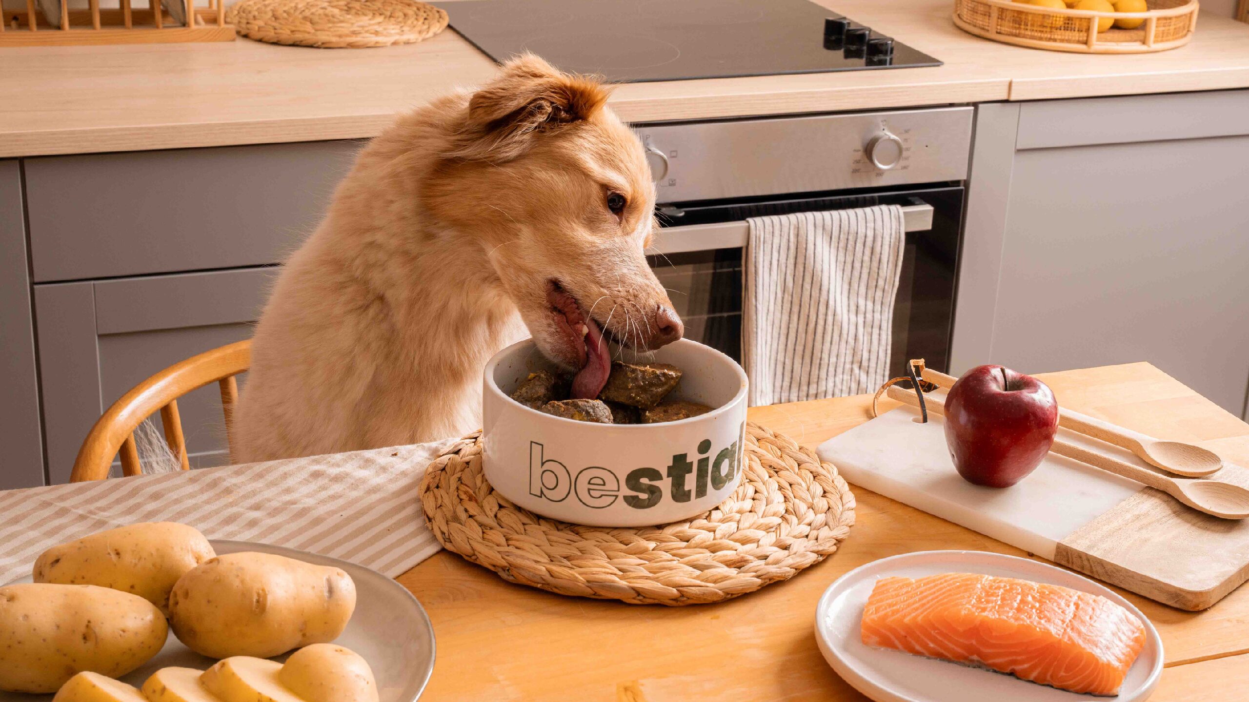 7 Beneficios de la comida natural para perros raza mediana