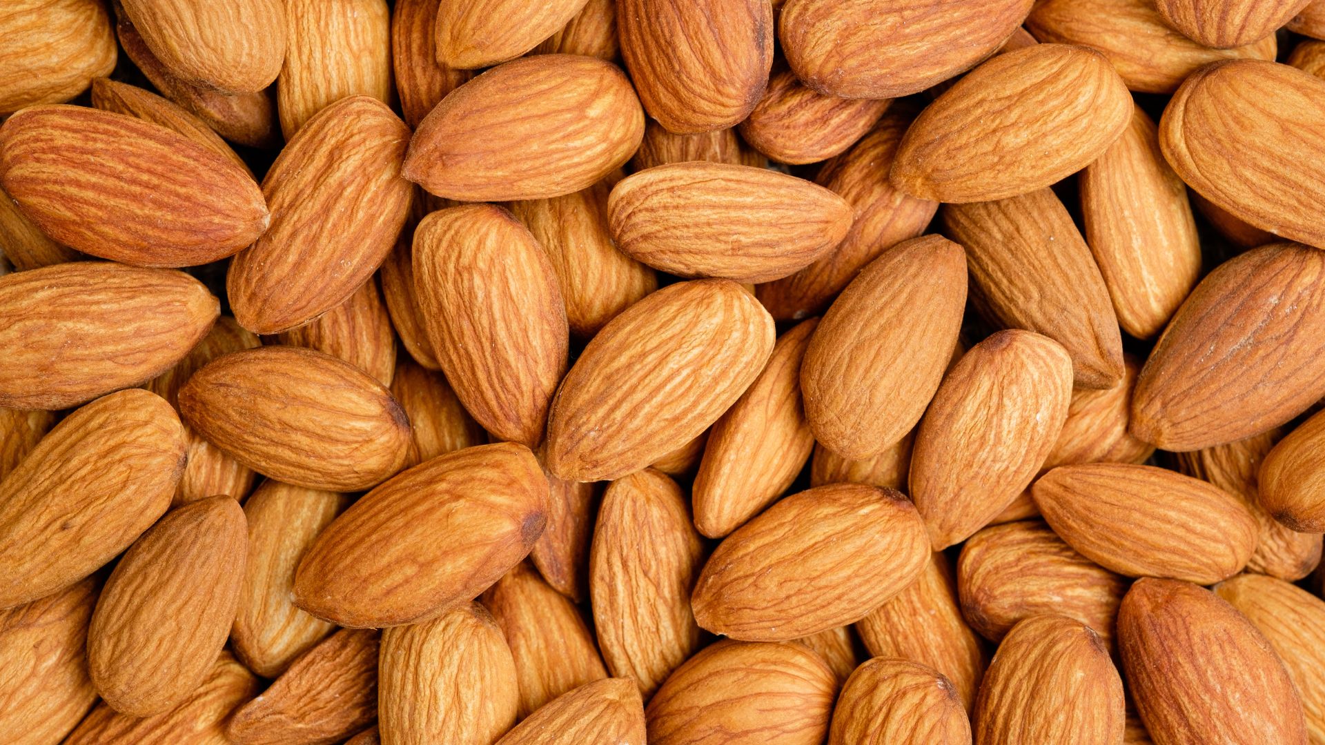 ¿Los perros pueden comer almendras? ¡Descúbrelo!