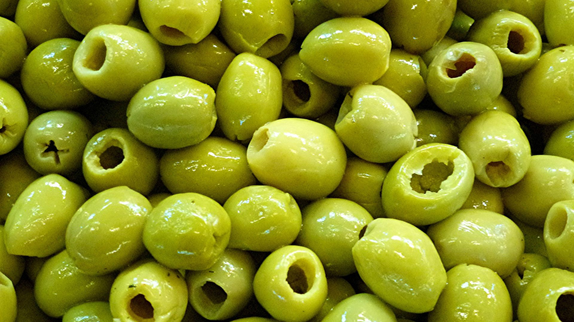 ¿Los perros pueden comer aceitunas? ¡Descúbrelo!