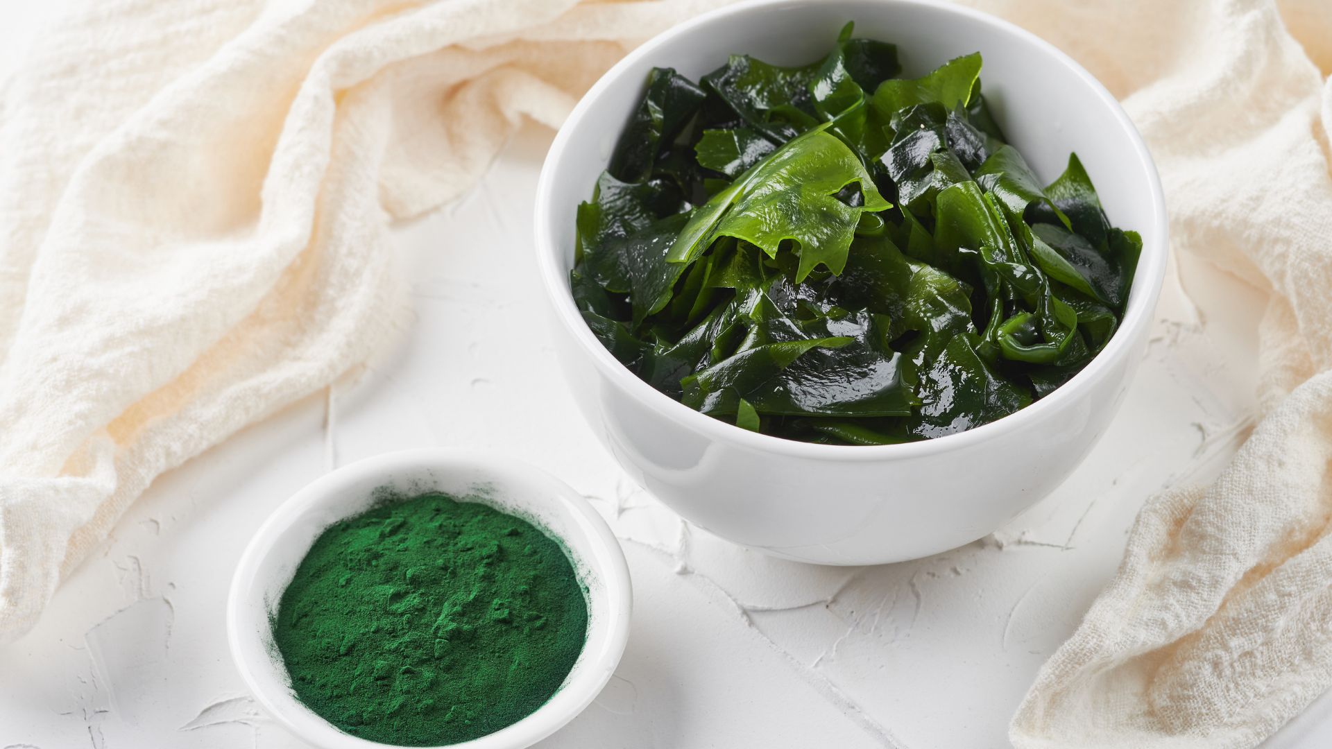 Kelp para perros: beneficios, usos y riesgos