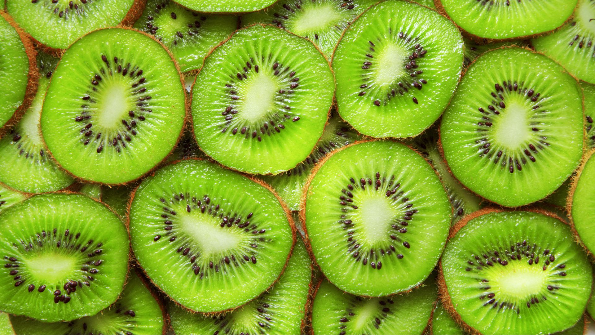 ¿Los perros pueden comer kiwi? ¡Descúbrelo!