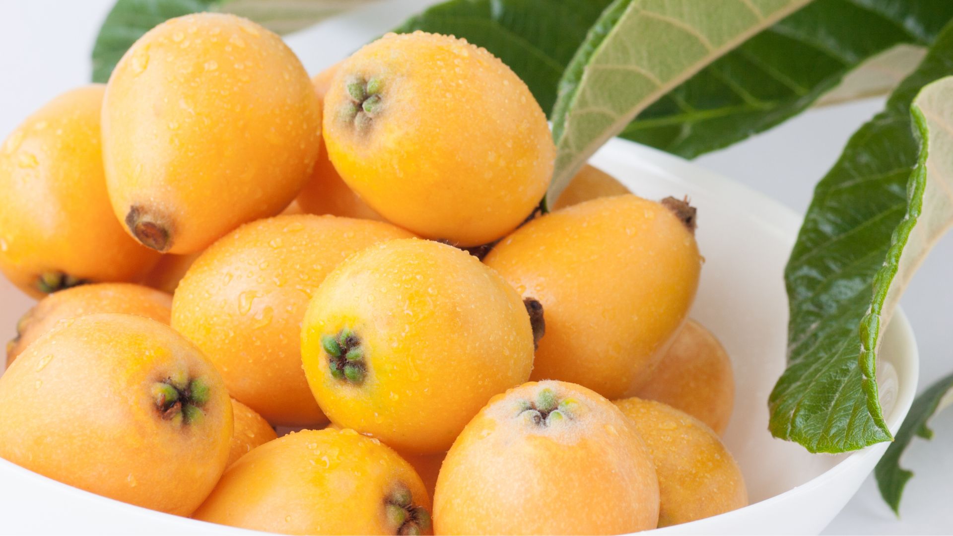 ¿Los perros pueden comer nísperos? ¡Descúbrelo!