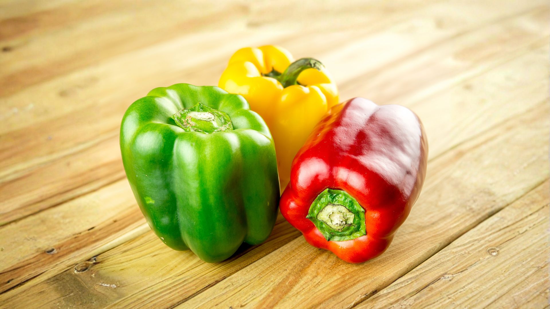 ¿Los perros pueden comer pimiento?: Guía segura y completa