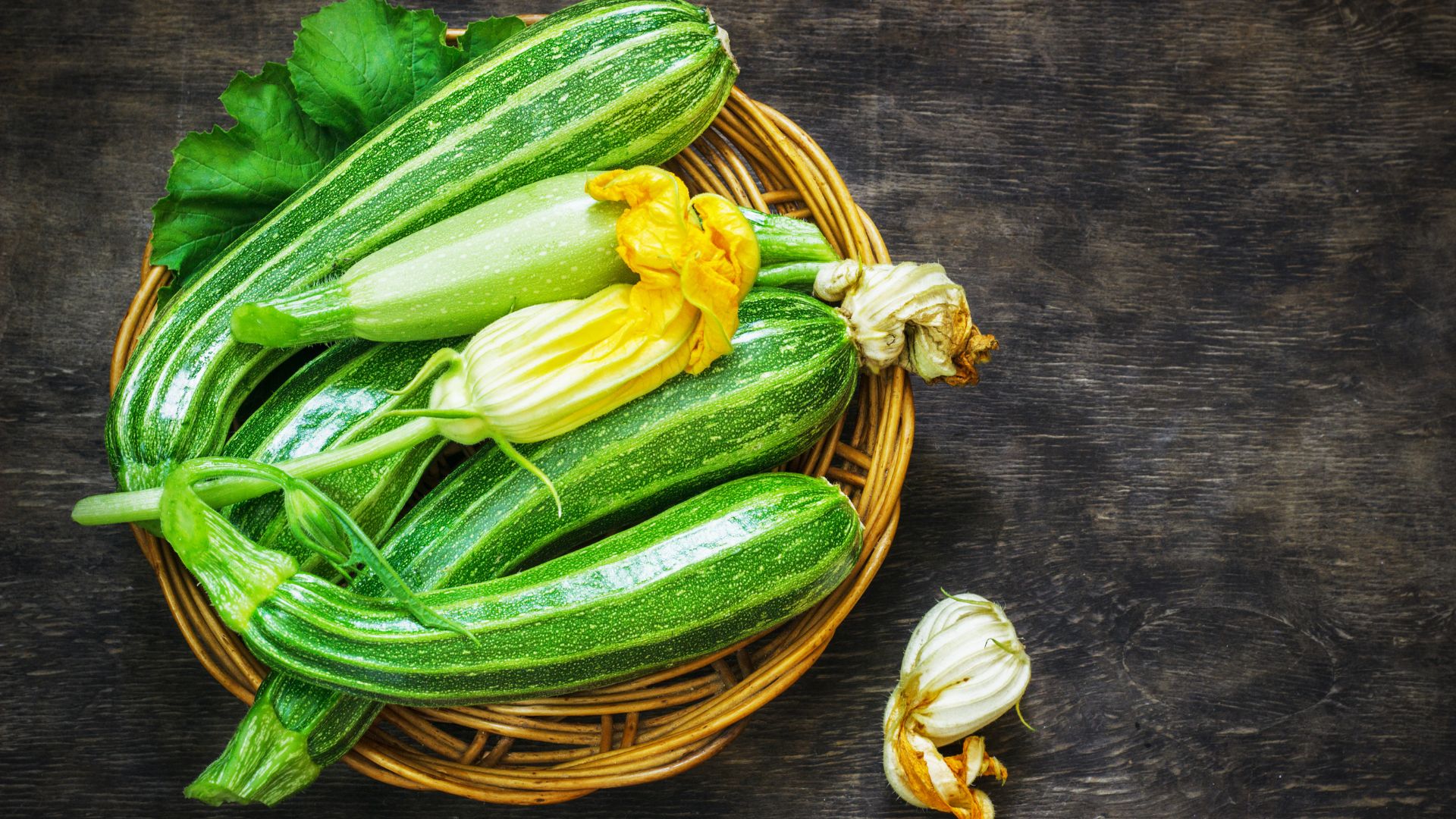 ¿Los perros pueden comer calabacín? Guía definitiva