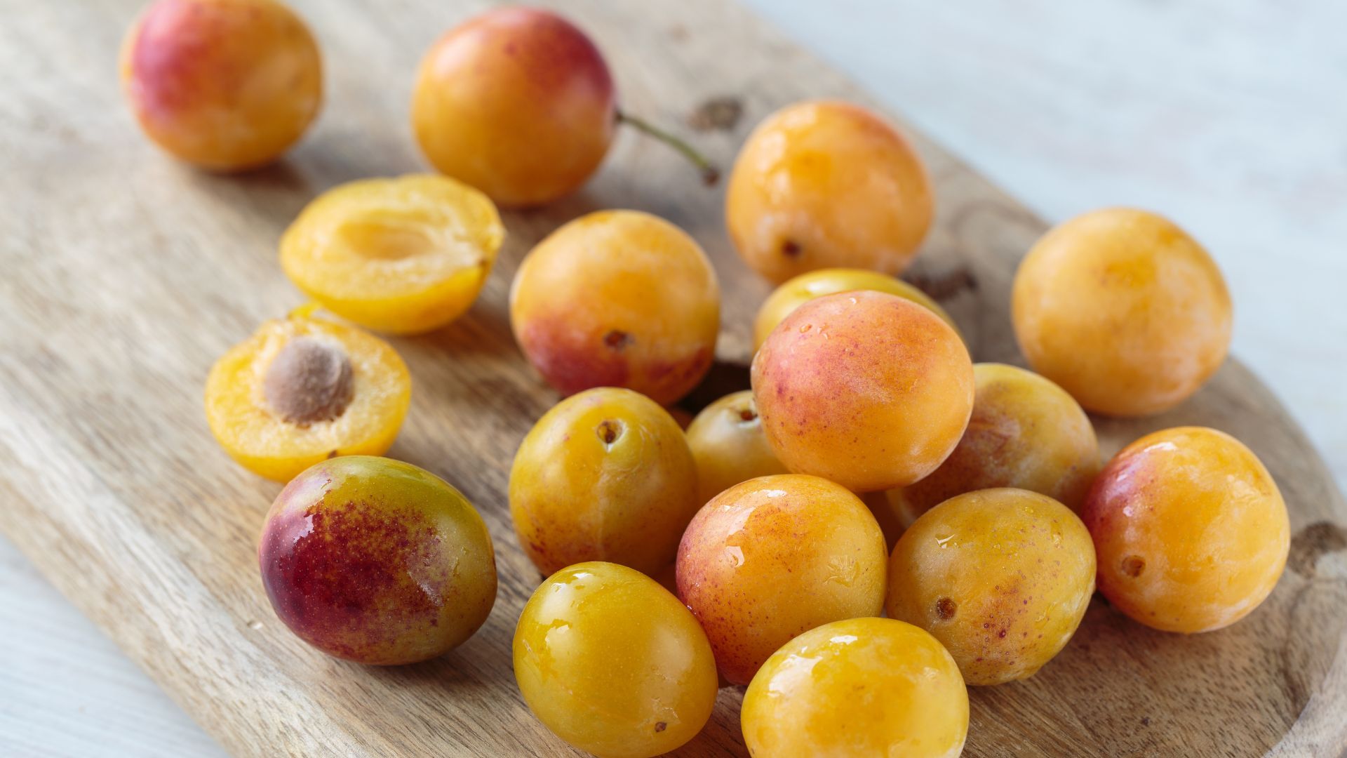 ¿Los perros pueden comer ciruelas? Guía completa