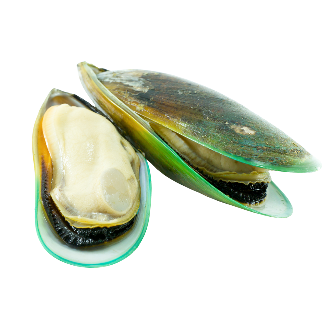 Mejillón de labio verde