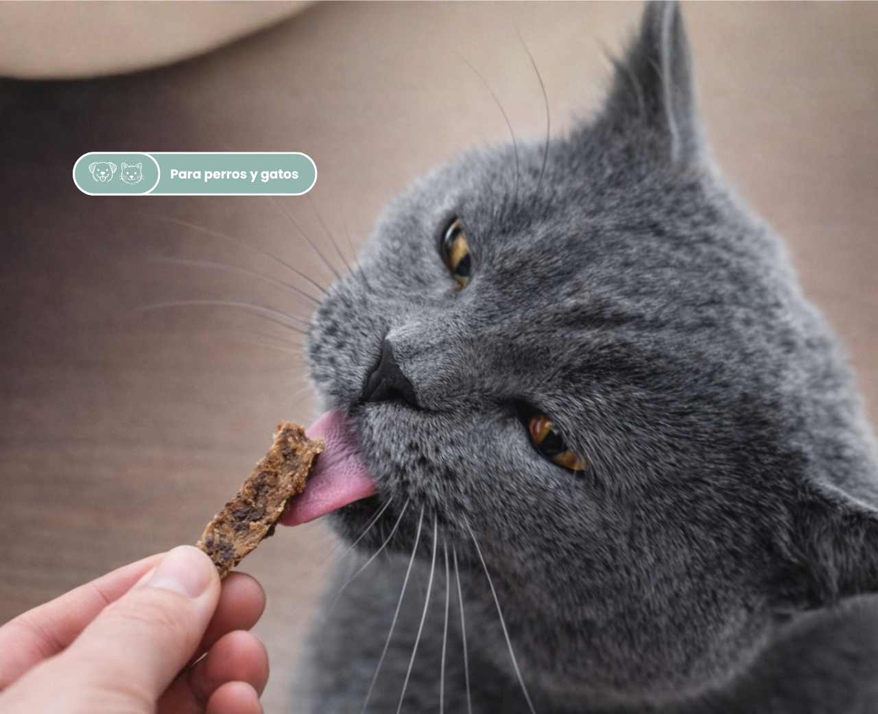 Minichips de pescado