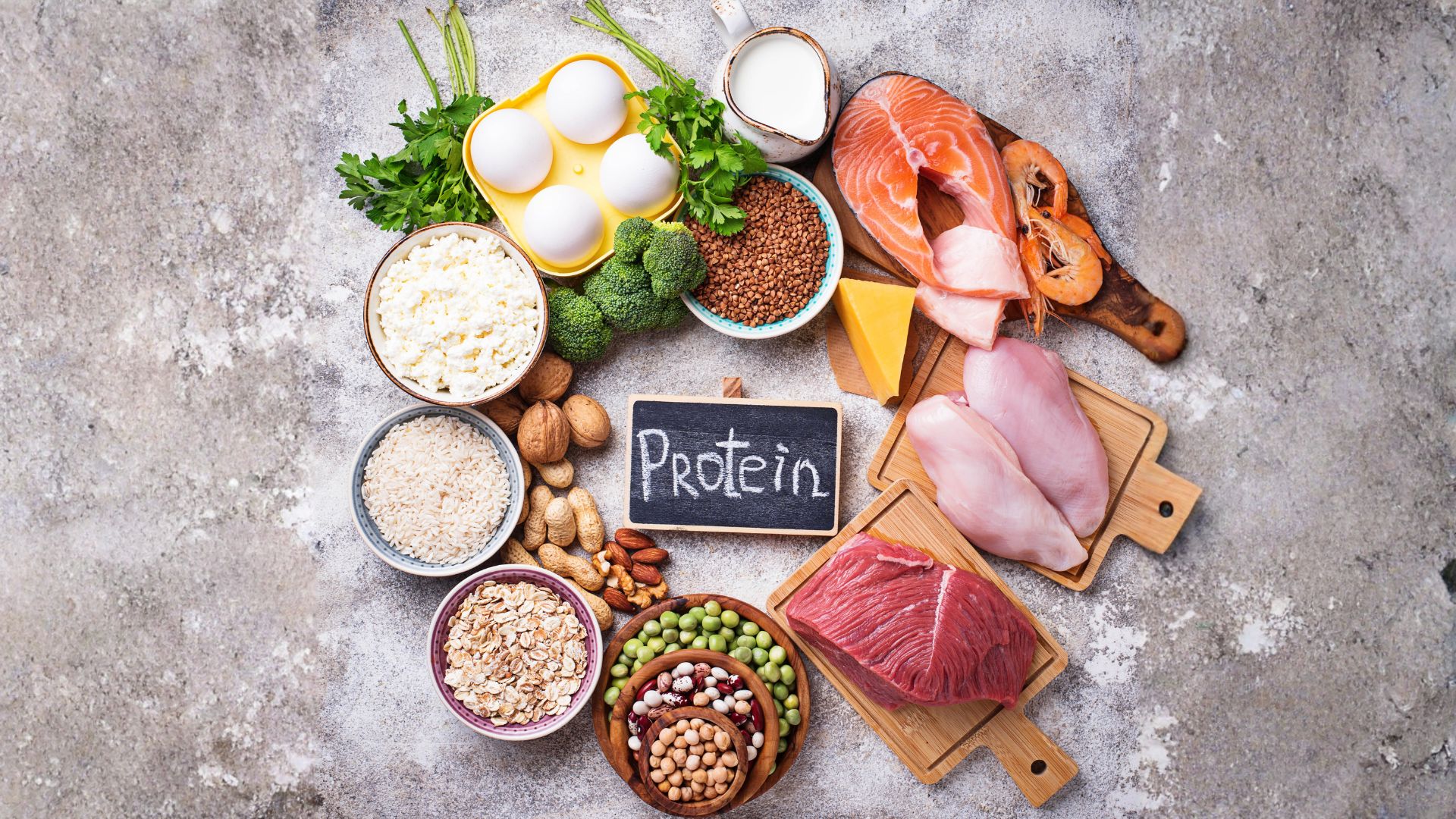 Proteínas animales vs vegetales en la dieta canina