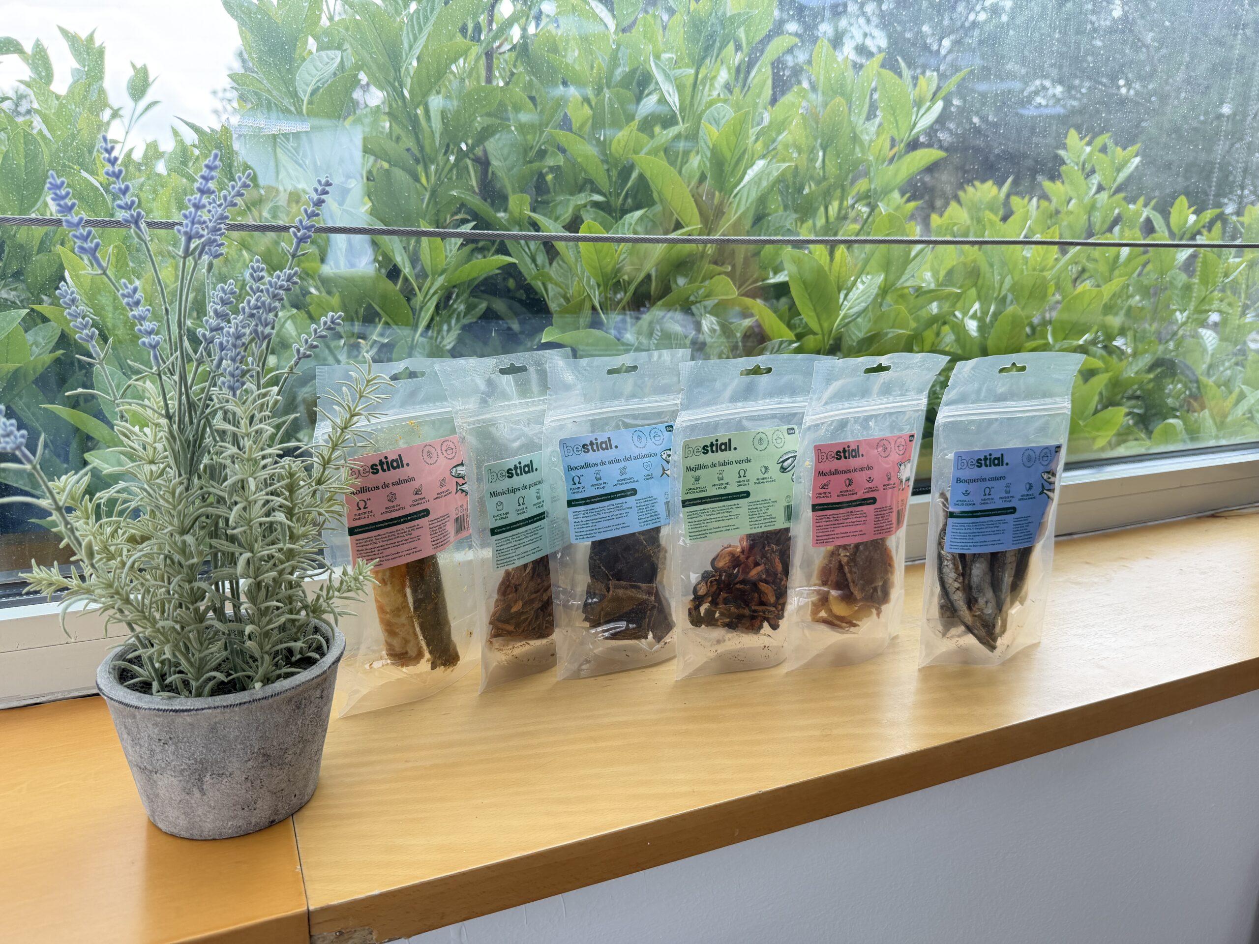 Snacks naturales deshidratados para perros y gatos: guía completa