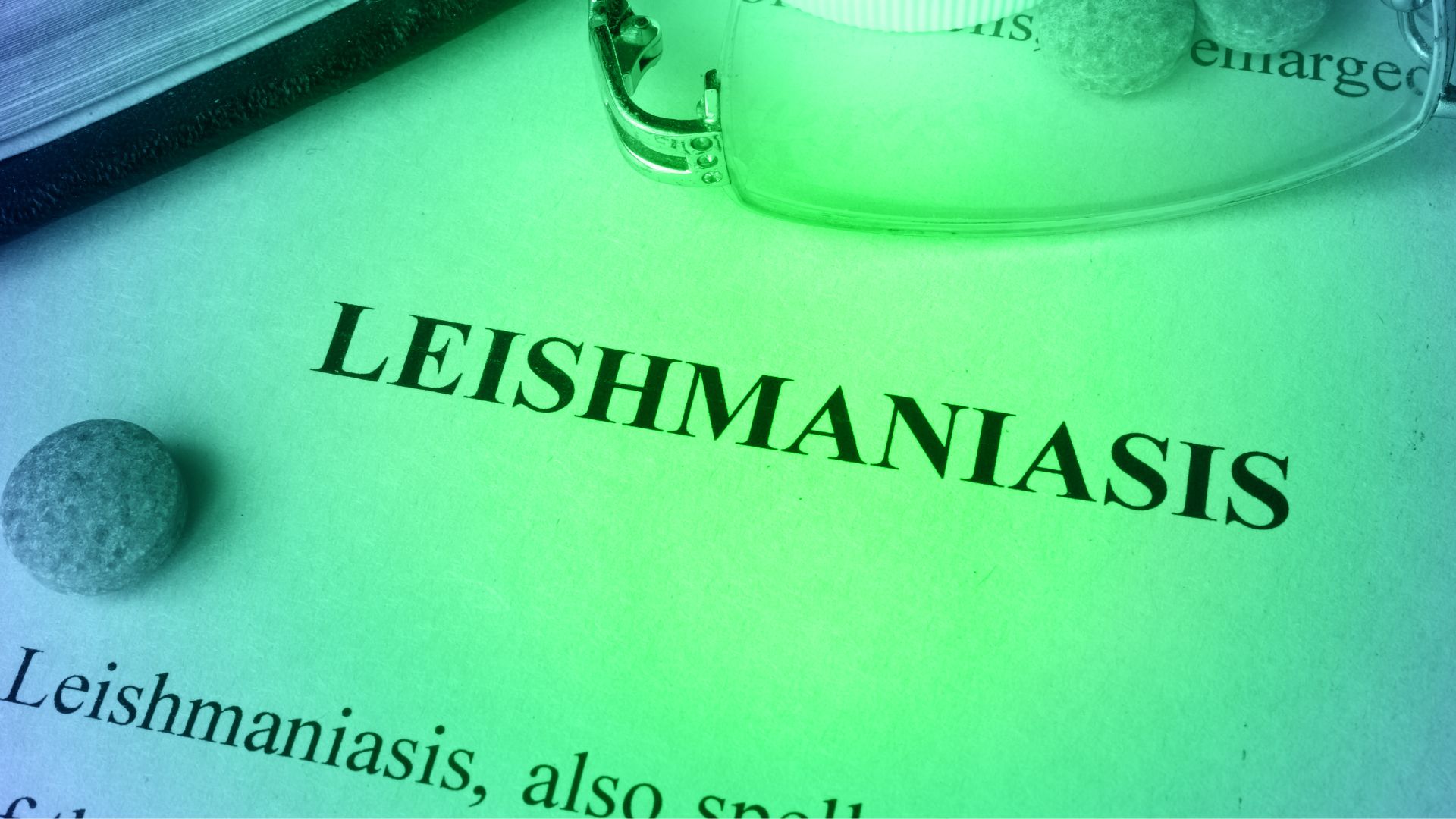 Leishmaniosis en perros: síntomas, contagio y cómo prevenirla