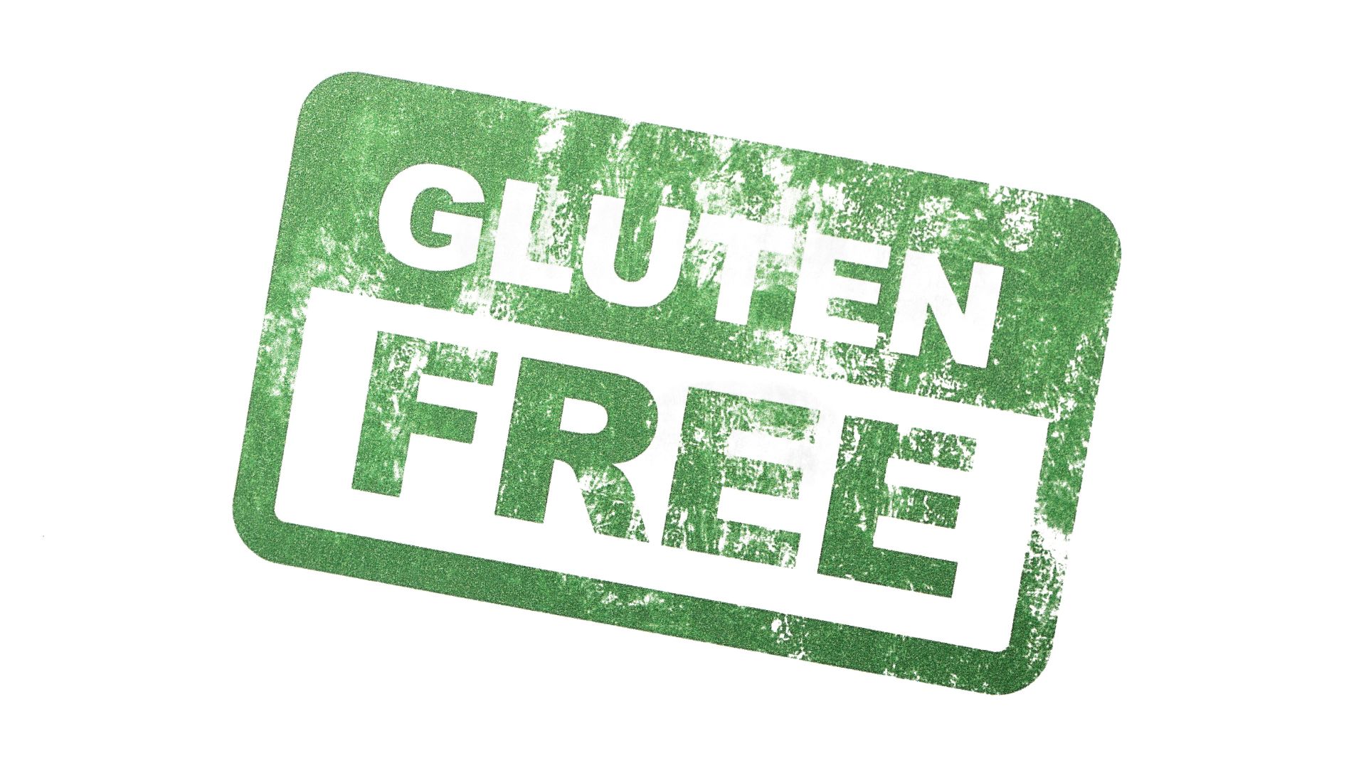 ¿Existen los perros celíacos? Sensibilidad al gluten