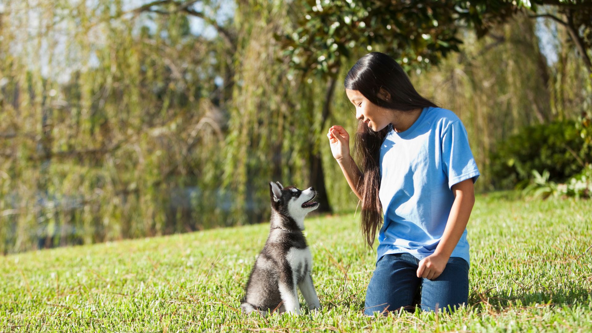 Cómo educar a un cachorro desde el primer día