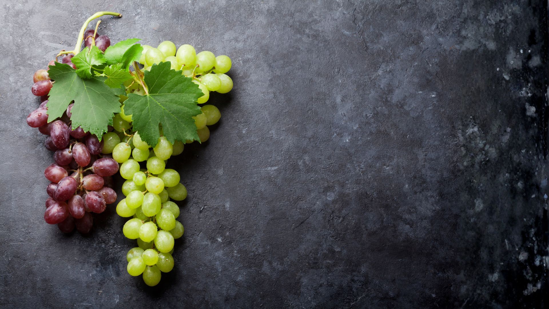 ¿Los perros pueden comer uvas? Todo sobre sus riesgos