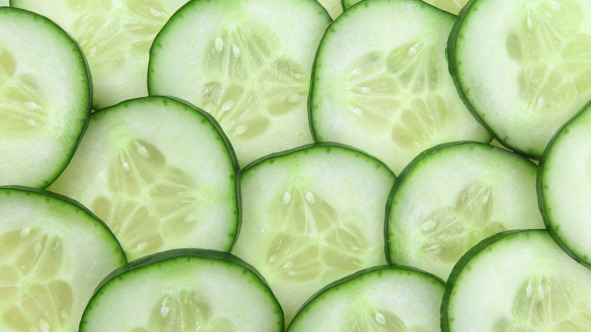¿Los perros pueden comer pepino? Beneficios y riesgos