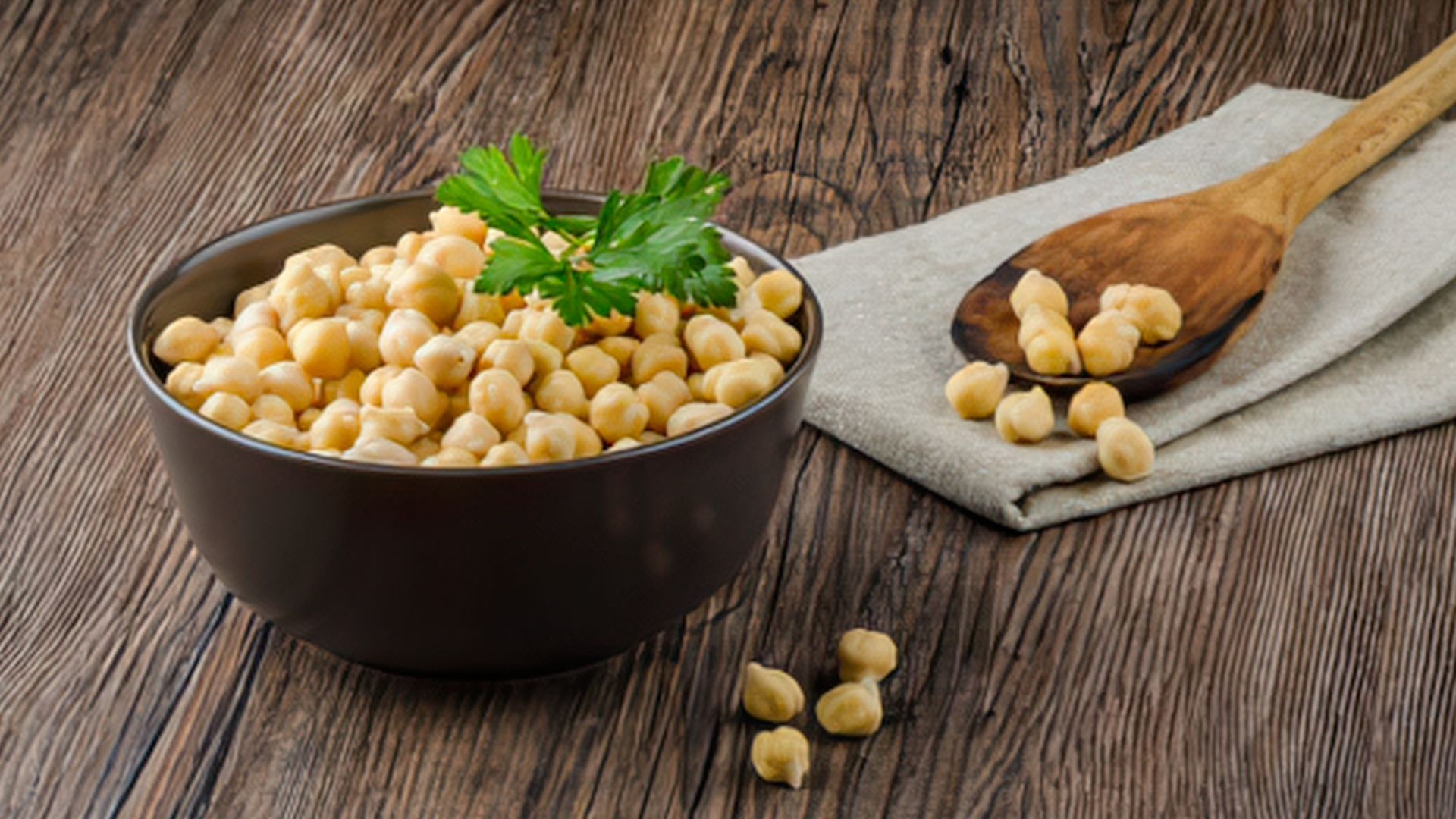 ¿Los perros pueden comer garbanzos? Guía completa