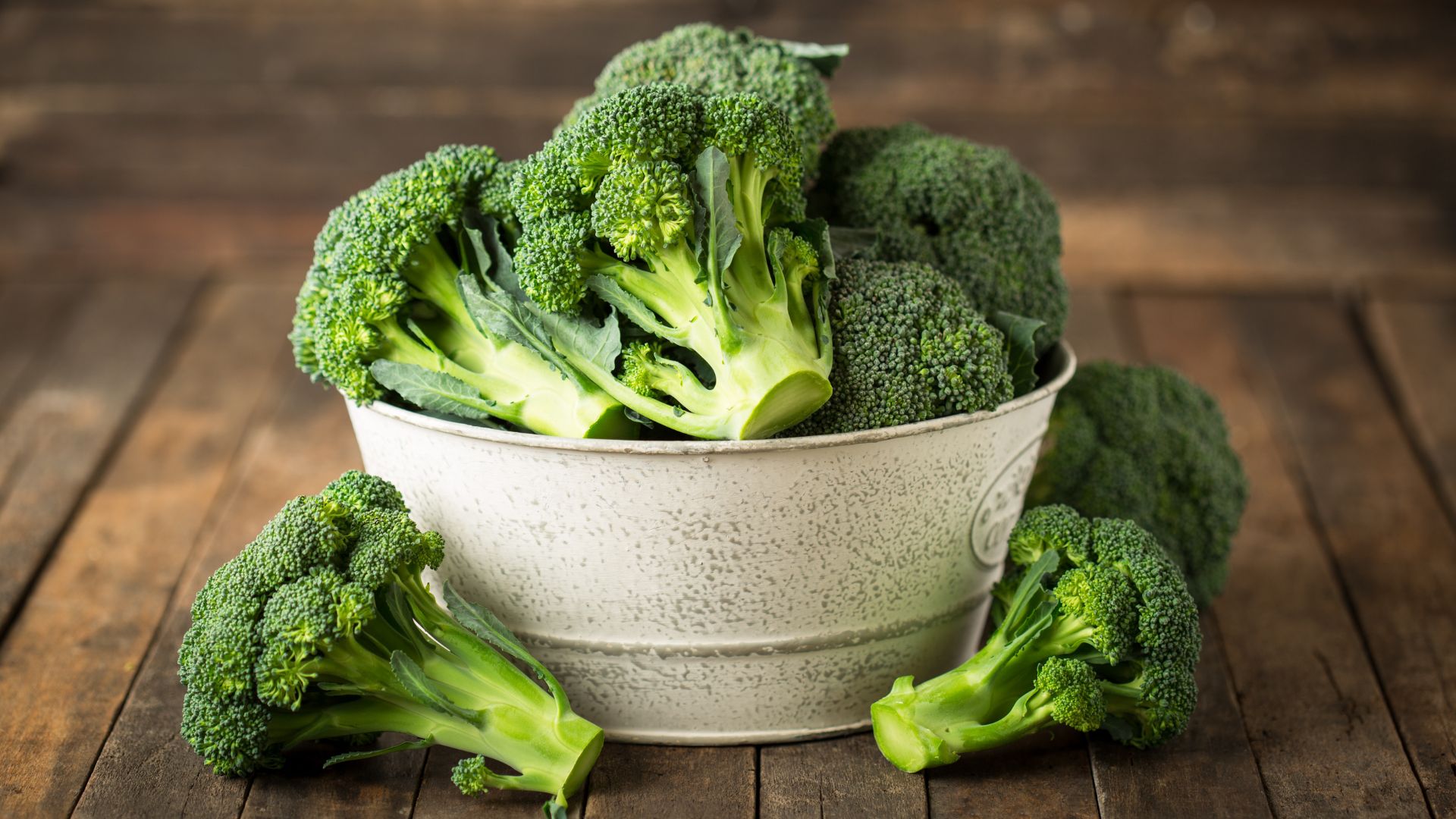 ¿Los perros pueden comer brócoli? Riesgos y beneficios