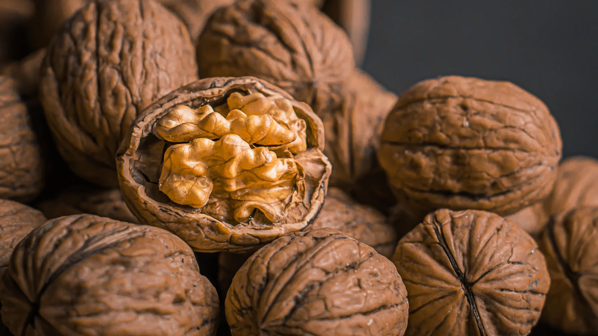 ¿Los perros pueden comer nueces? Riesgos y consejos