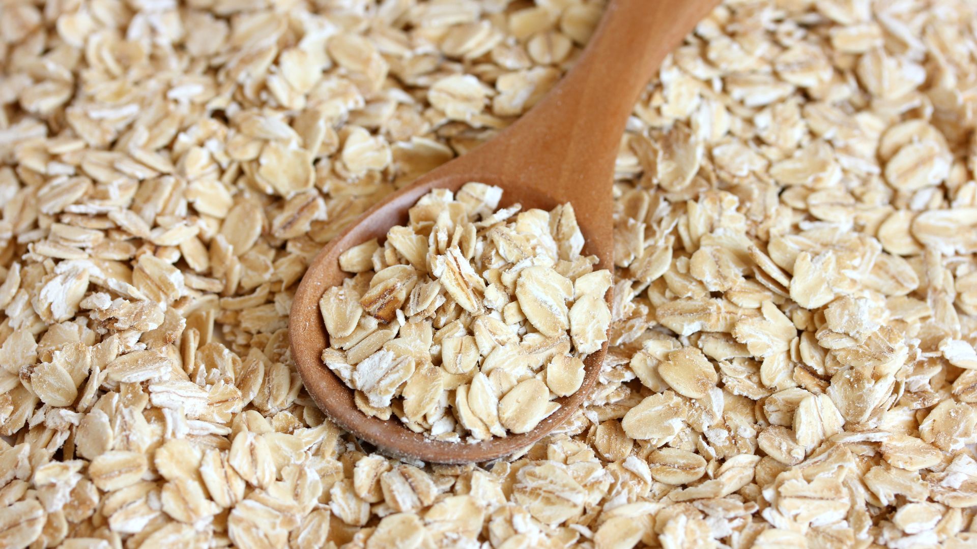 ¿Los perros pueden comer avena? Cómo prepararla