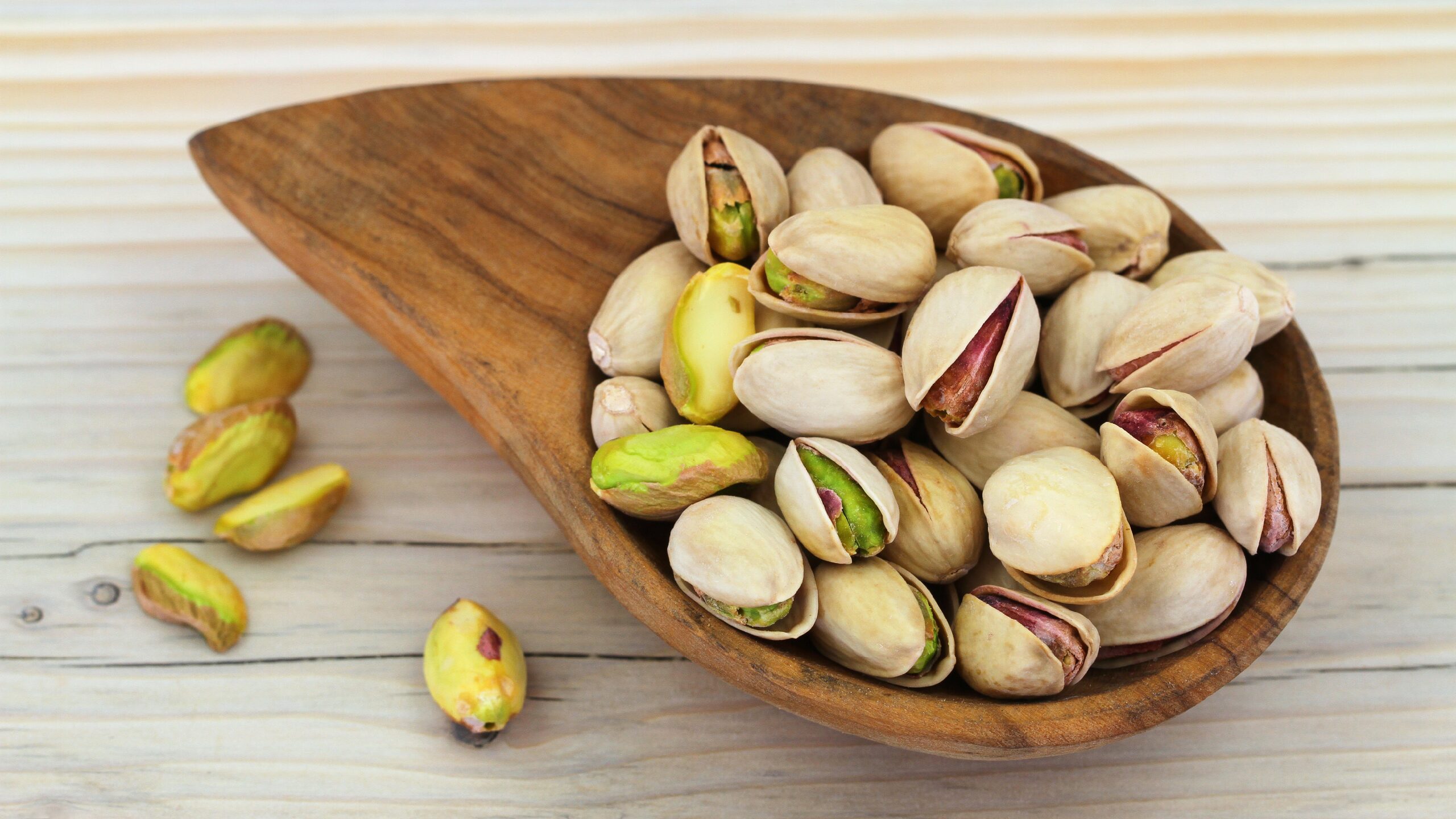 ¿Los perros pueden comer pistachos? Riesgos y qué hacer